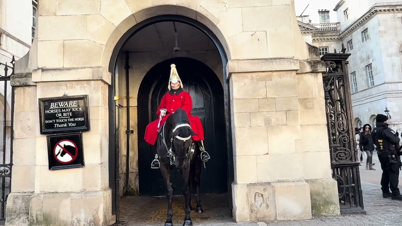 The Royal King’s Guard 💂 