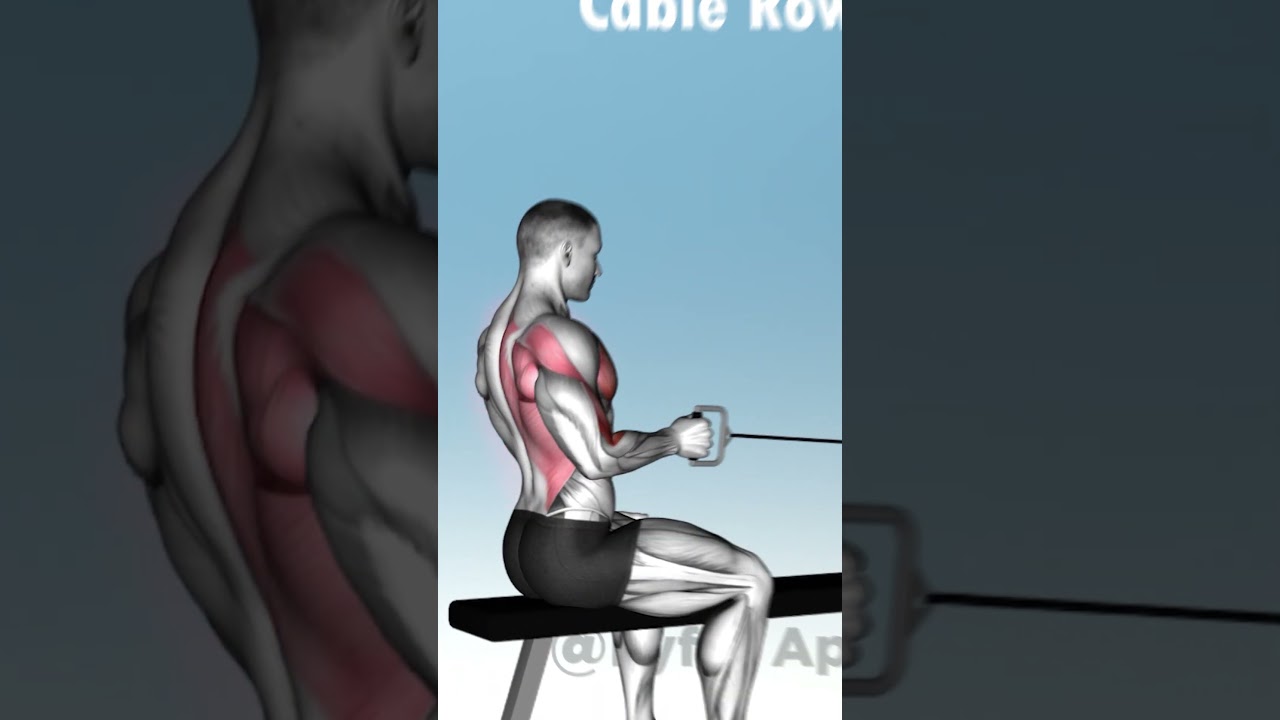 🔥 Top 5 Back Exercises With Cables