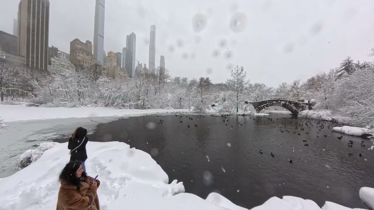 A snowstorm has covered New York, and Central Park looks incredible