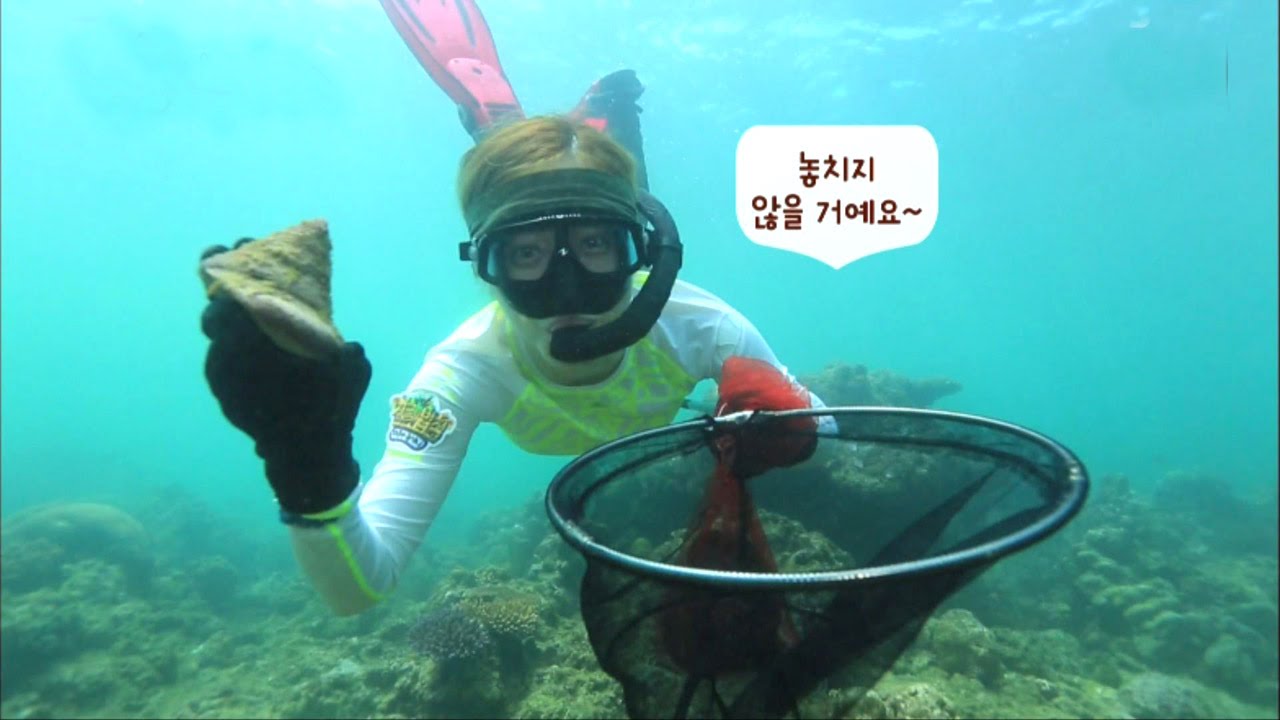 최송현, 다이빙 자격증만 25개! 해녀 뺨치는 잠수 실력 @김병만의 정글의 법칙 214회 20160520