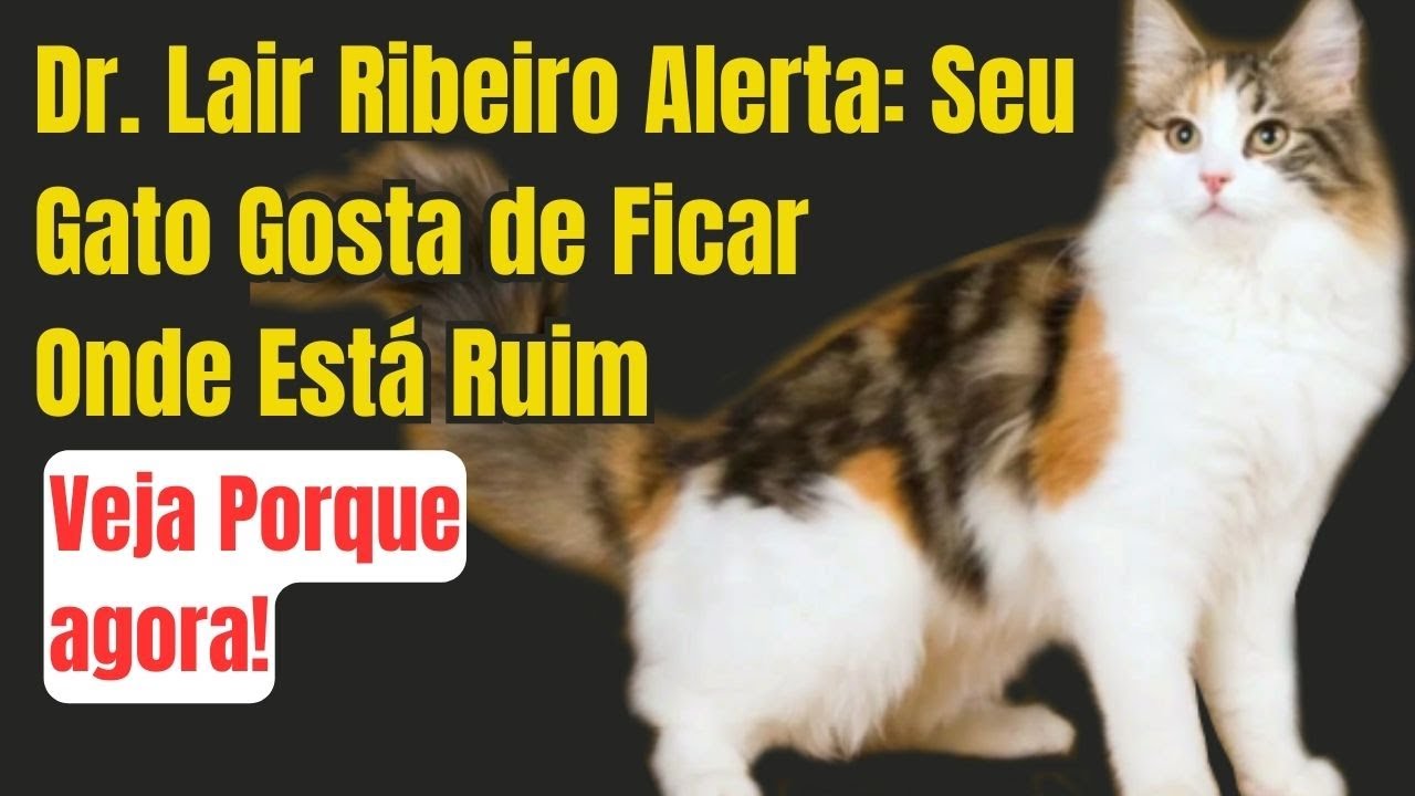 DR LAIR RIBEIRO DIZ QUE GATO GOSTA DE FICAR ONDE ESTÁ RUIM, VEJA PORQUE