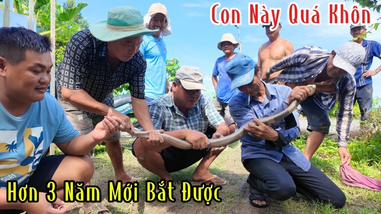 3 Năm Sao Quây Trở Lại Không Ngờ Nhóm Đã Bắt Được Nó | Mười Thương Săn Bắt