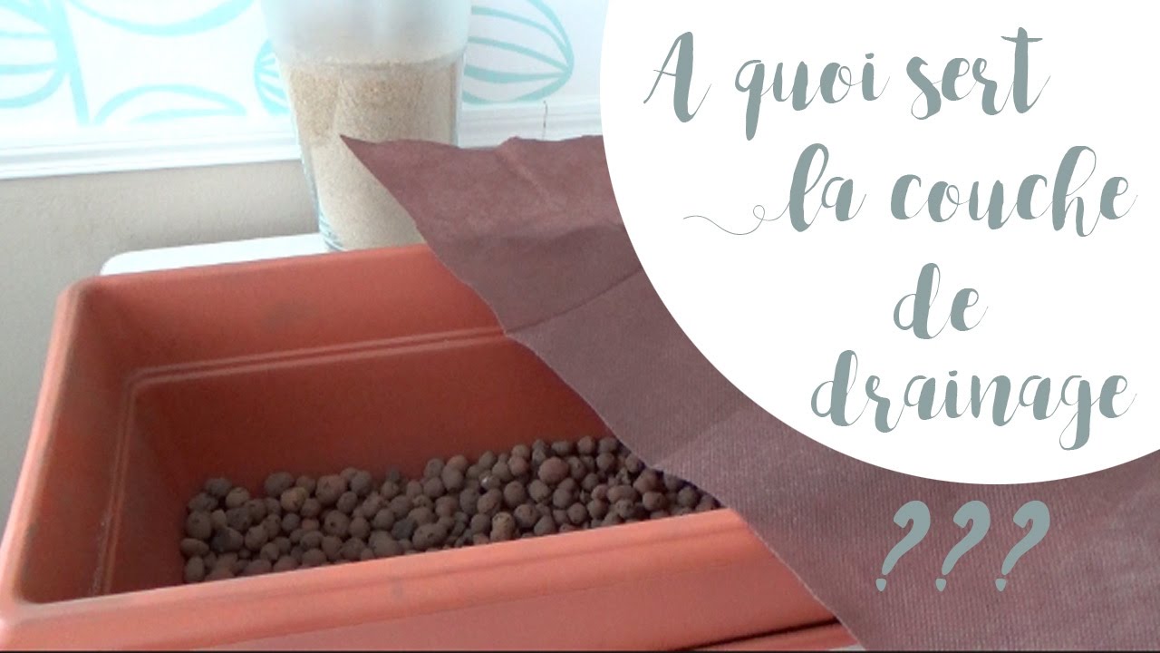 Plantes en pot : &agrave; quoi sert la couche de drainage ?
