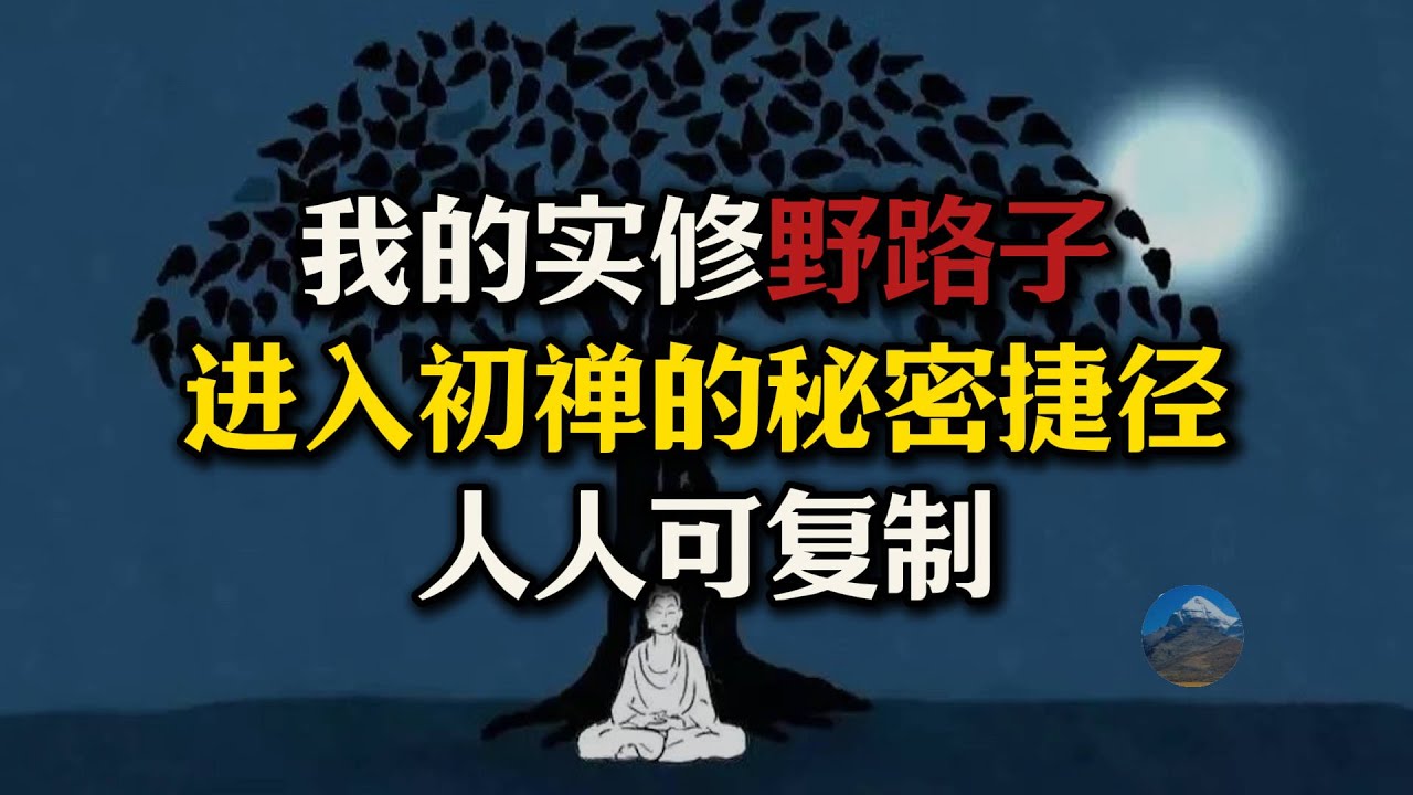 我的实修“野路子”：进入初禅的“秘密捷径”，人人都可以迅速学会，人人都能进入初禅！#初禅#外道禅定#盖障#昏沉#禅修