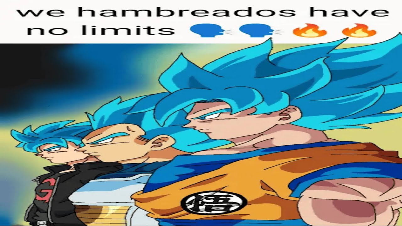 LOS FRENTONES NO TENEMOS LIMTES