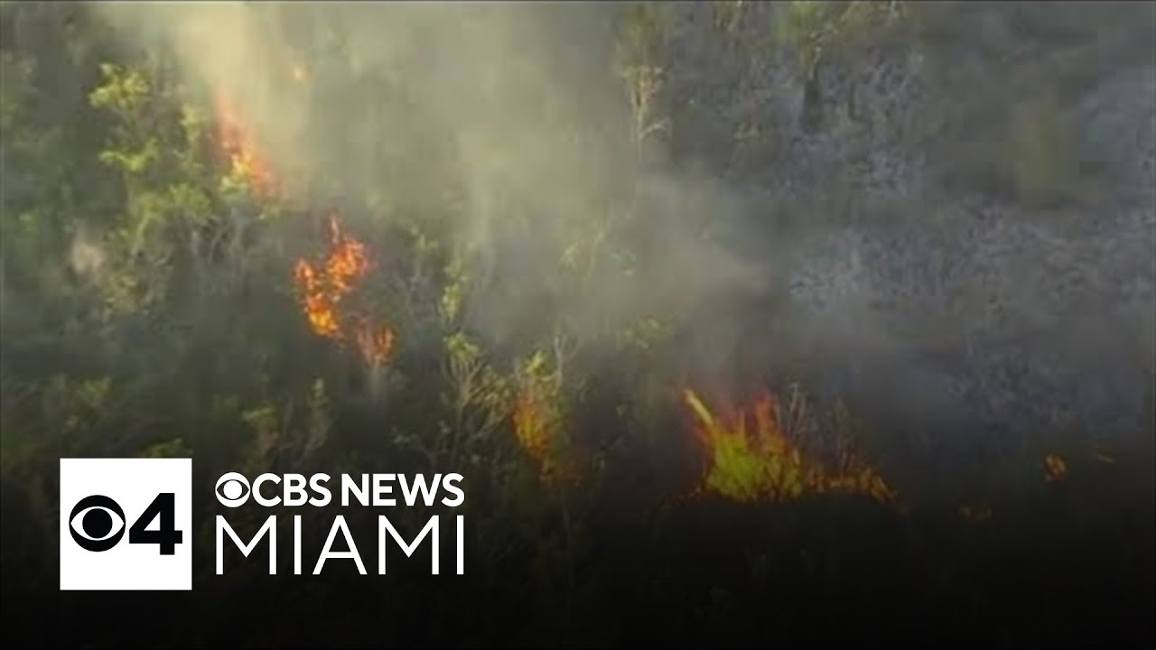 Sprawling Miami-Dade brush fire mostly contained