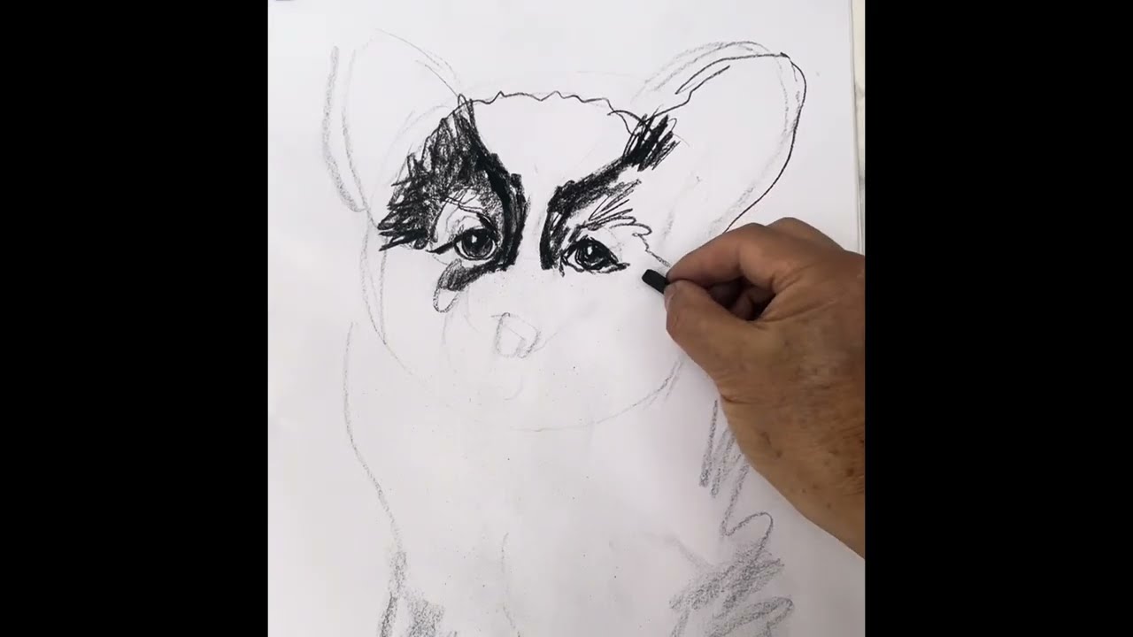Charcoal Dog Sketch – Drawing Process