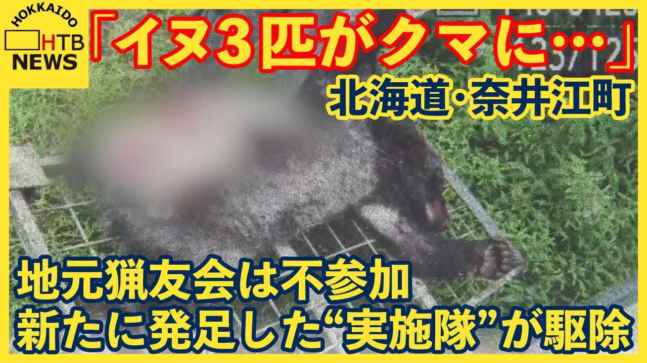 「３頭がクマに…」クマが犬を襲撃　札幌のハンターが駆除　地元猟友会不在の対応は…　奈井江町