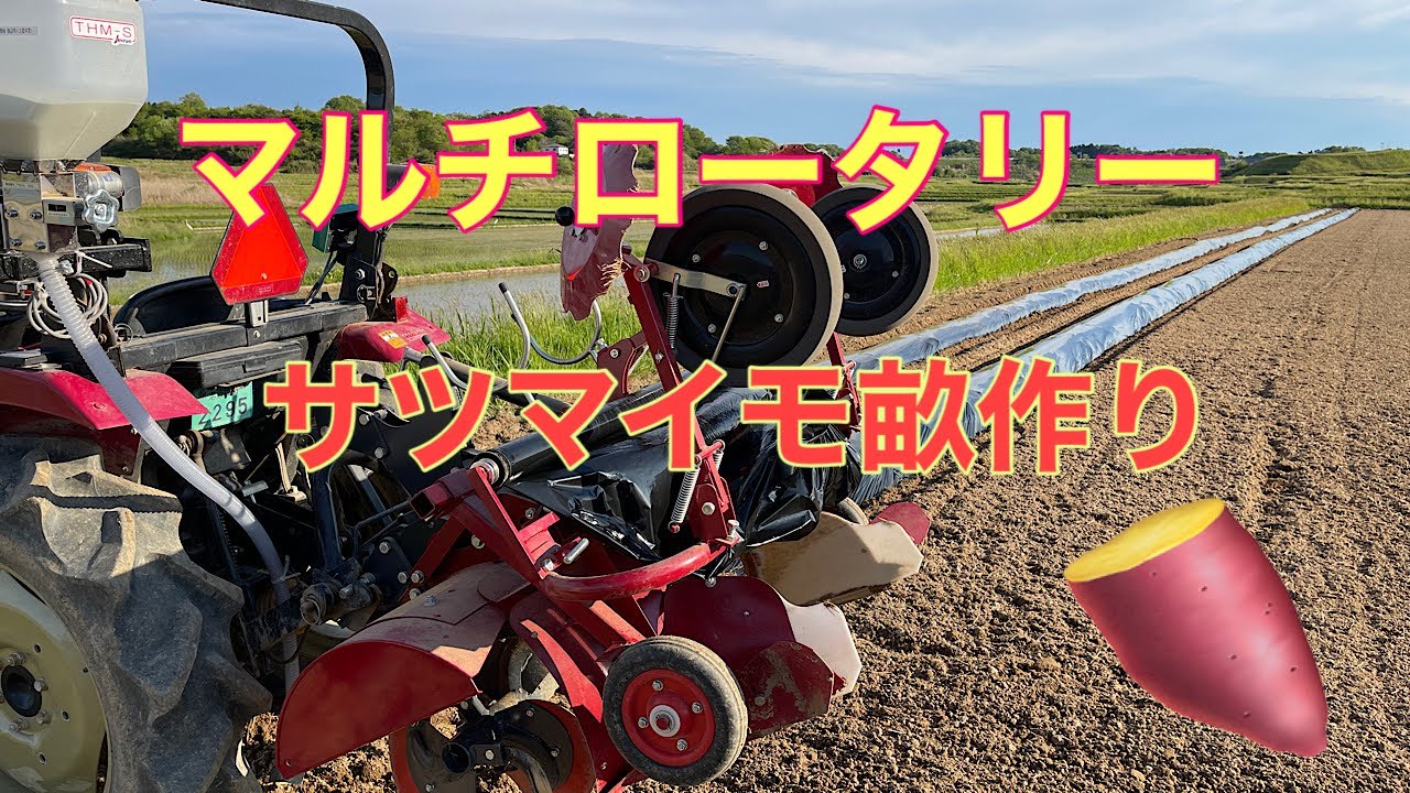 マルチロータリーサツマイモ畝作り