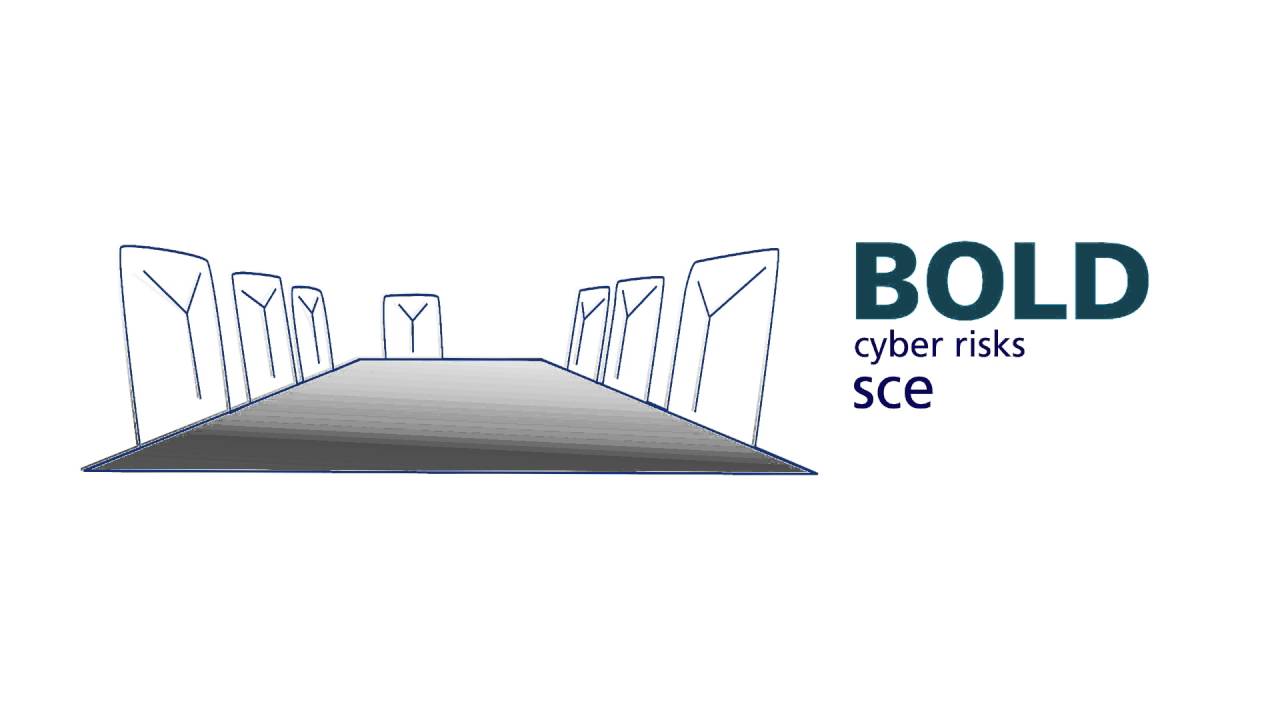 In 30 seconds: Managing cyber risks: The board In action