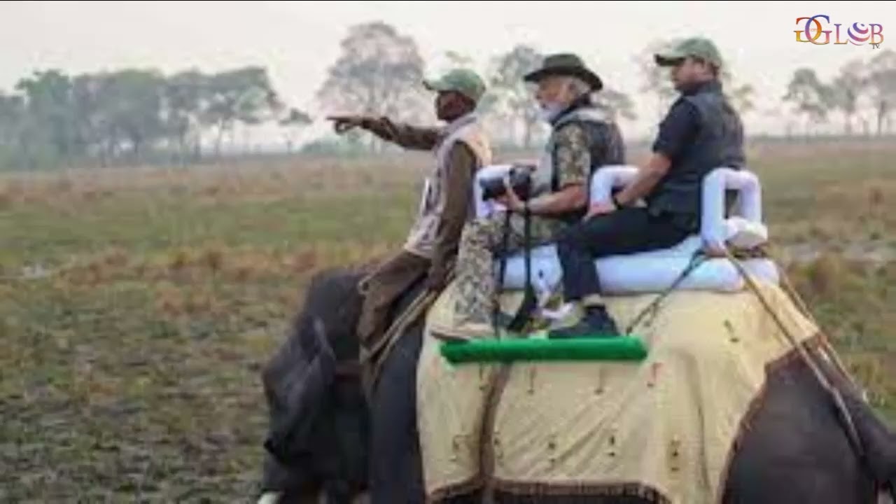 PM Modi's Wild Adventure  Elephant Safari In Kaziranga