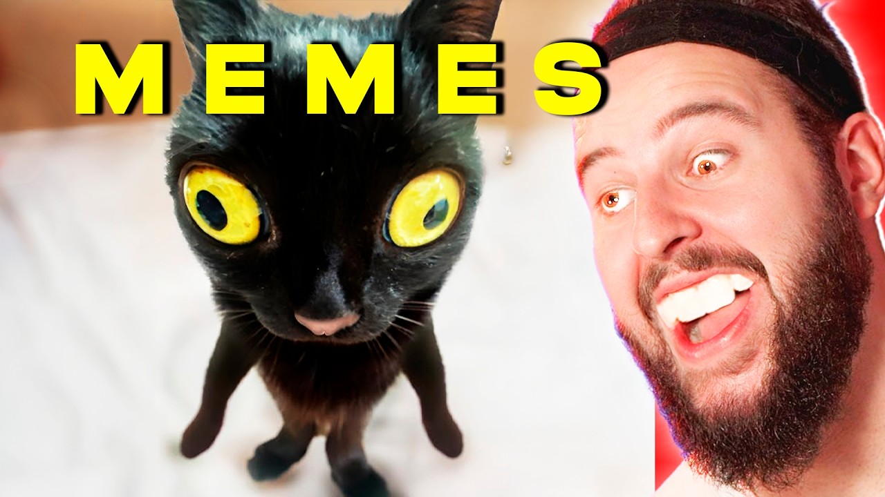 Si Te Ries Eres RARO... 😂➡️🥴