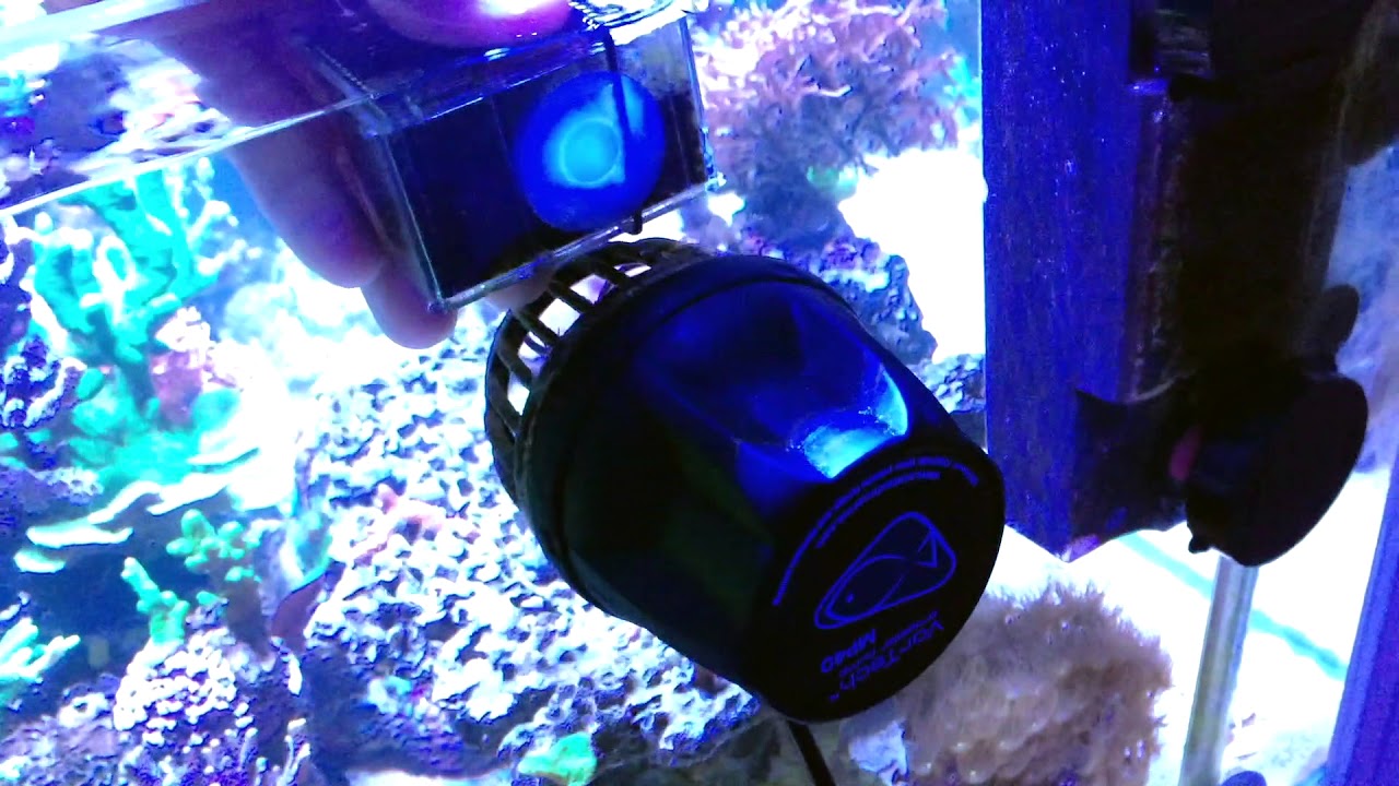 Acuario marino sin sump