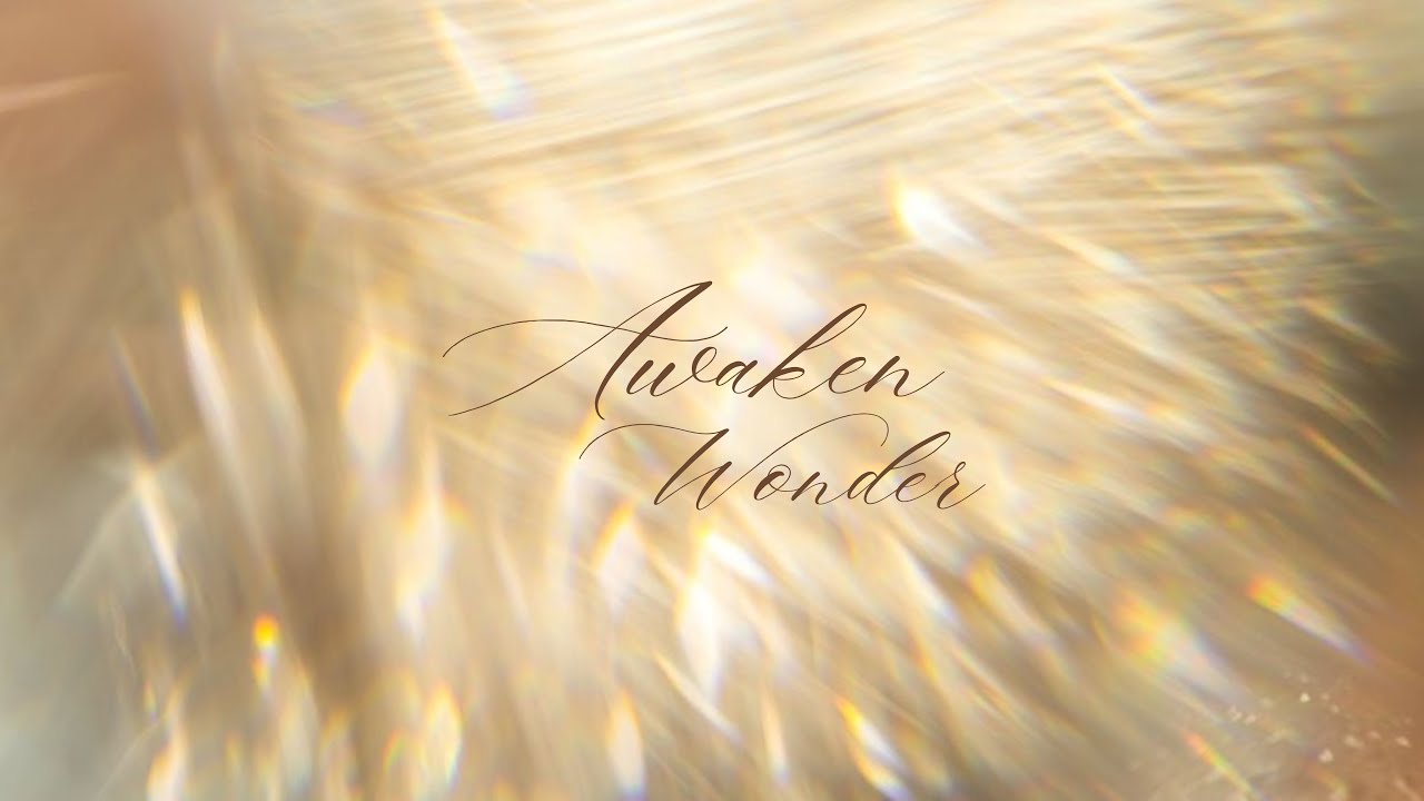 Awaken Wonder - Week 4 | Pastor Brandon Richardson | Bloomingdale Location