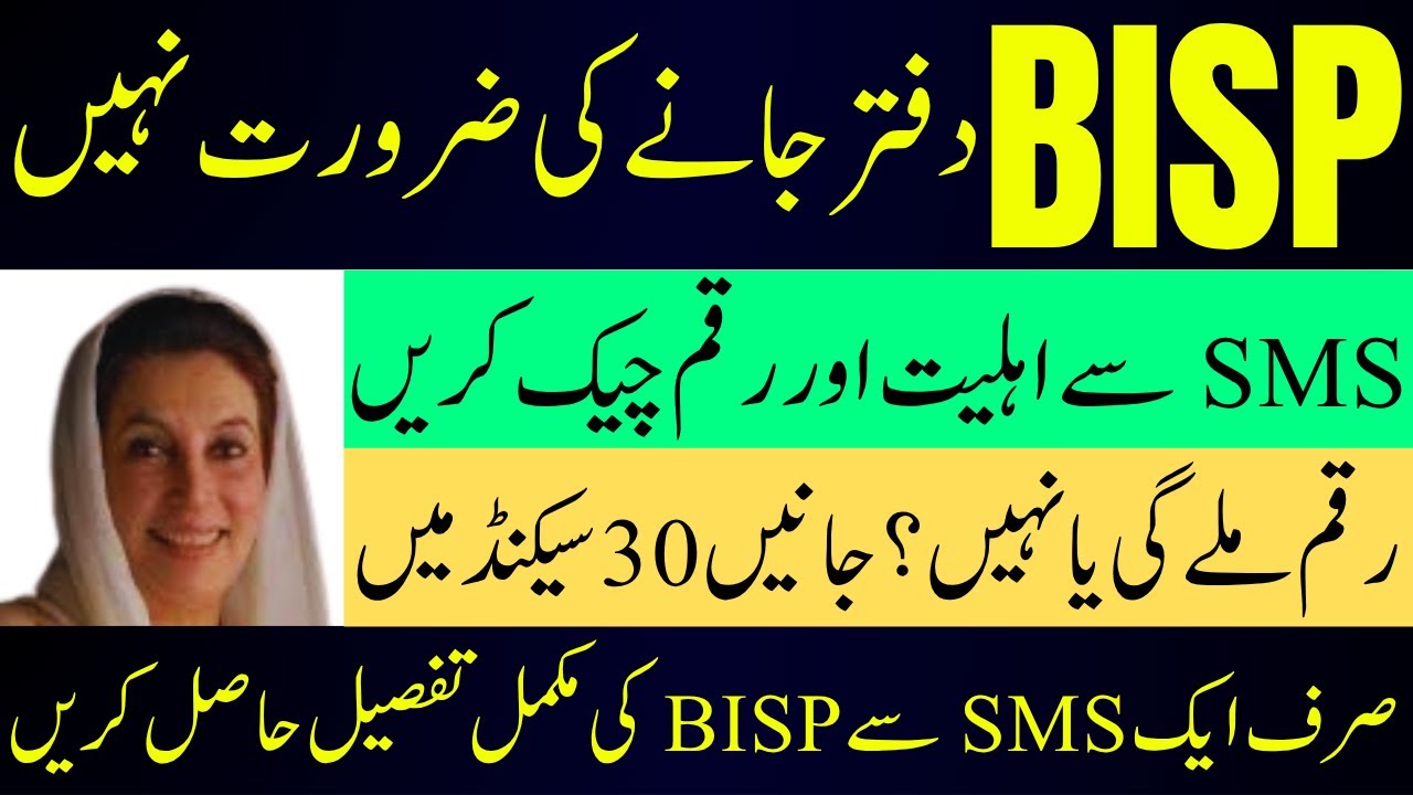 Check Your BISP Eligibility via SMS &ndash; 8171 June 2025 Guide