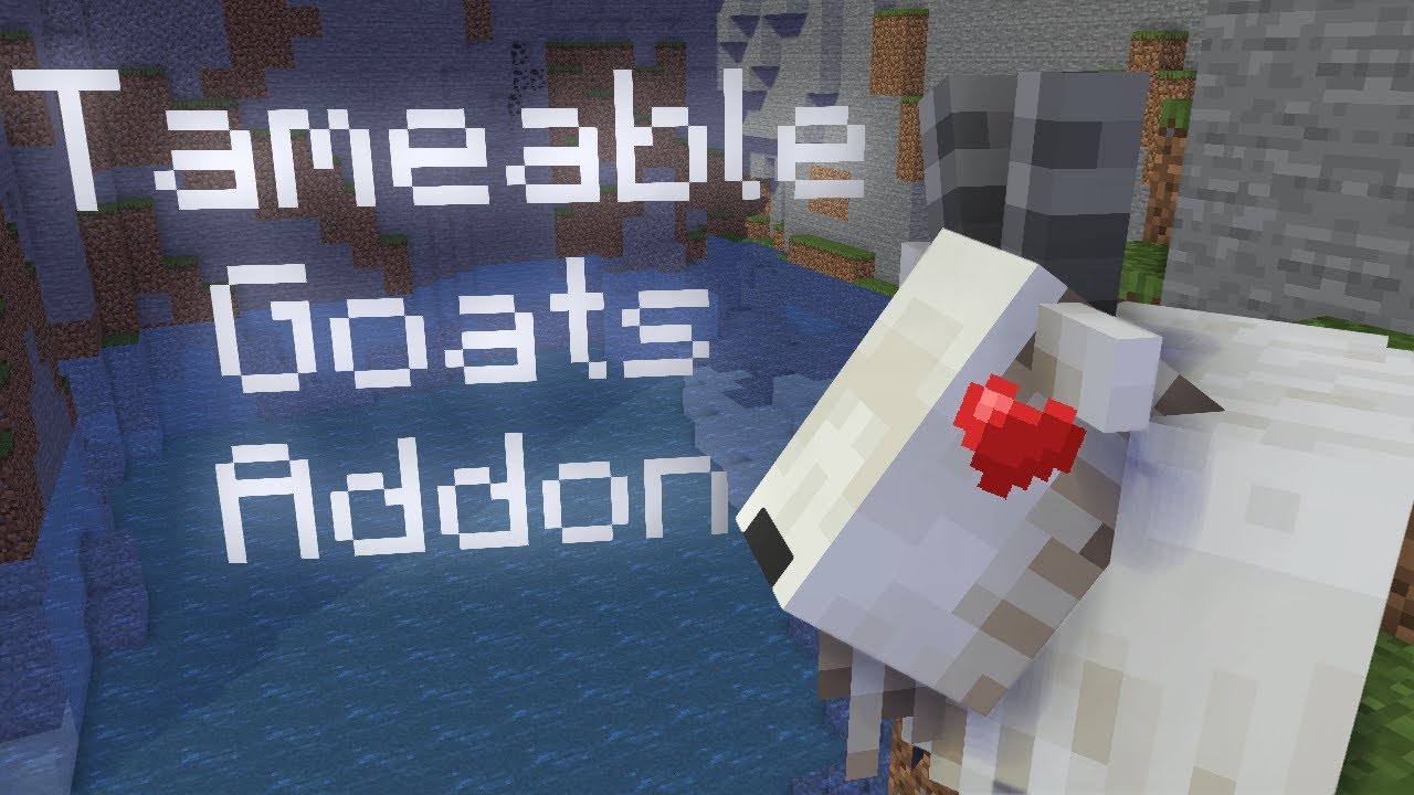 Tameable Goats Addon || Minecraft Pocket Edition