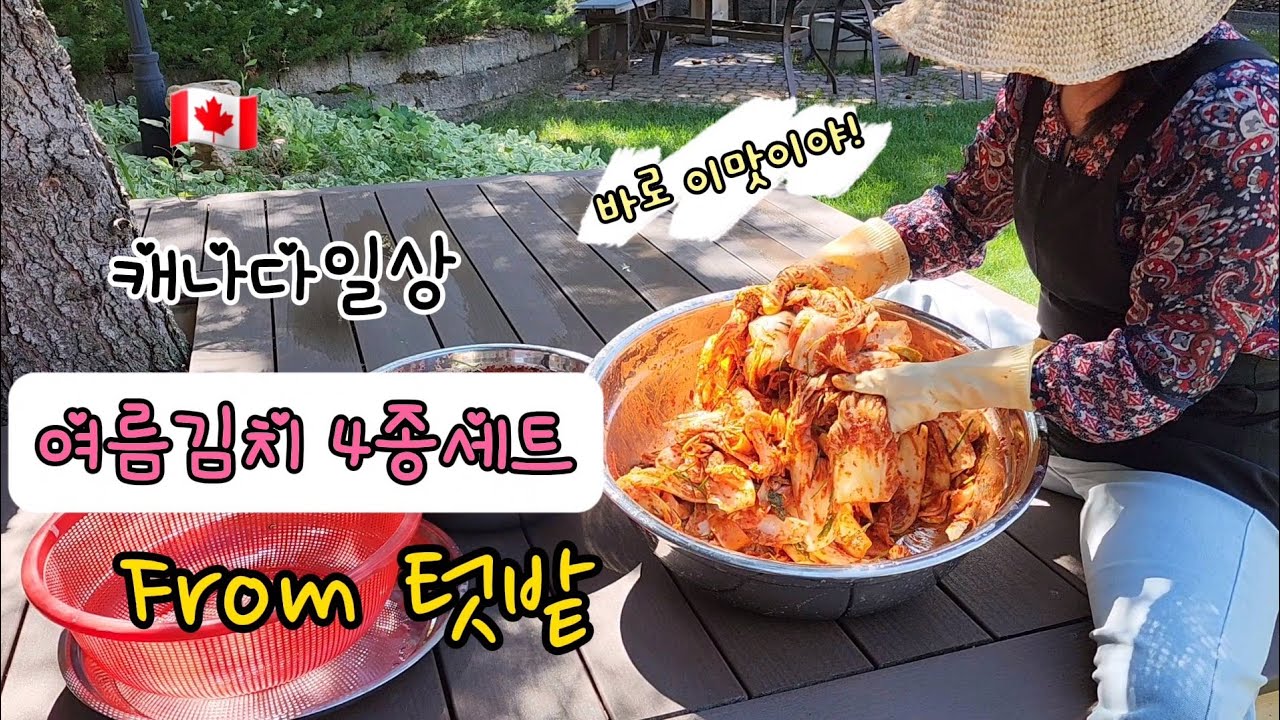CC)텃밭에서 식탁까지, 깻잎김치, 열무김치, 부추민들레김치, 배추김치