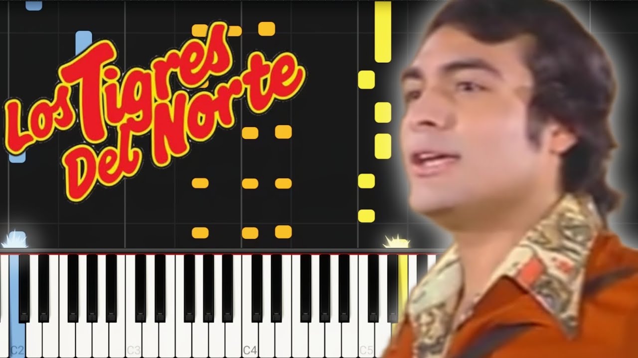 Contrabando y Traición | Los Tigres Del Norte | Tema en Piano 🎹🎶🎵🎼✨