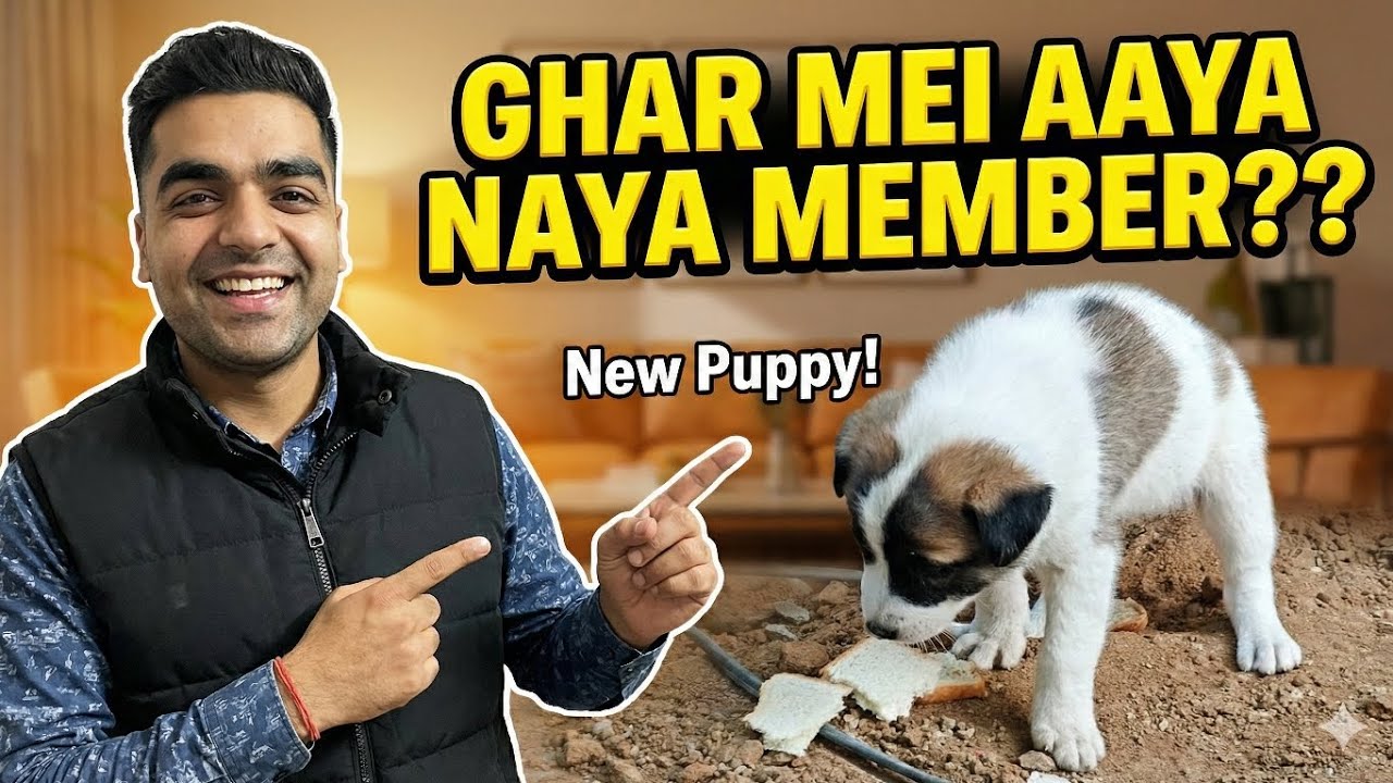 FINALLY! New Member in our Family ❤️ | Ghar Aaya Naya Mehman?