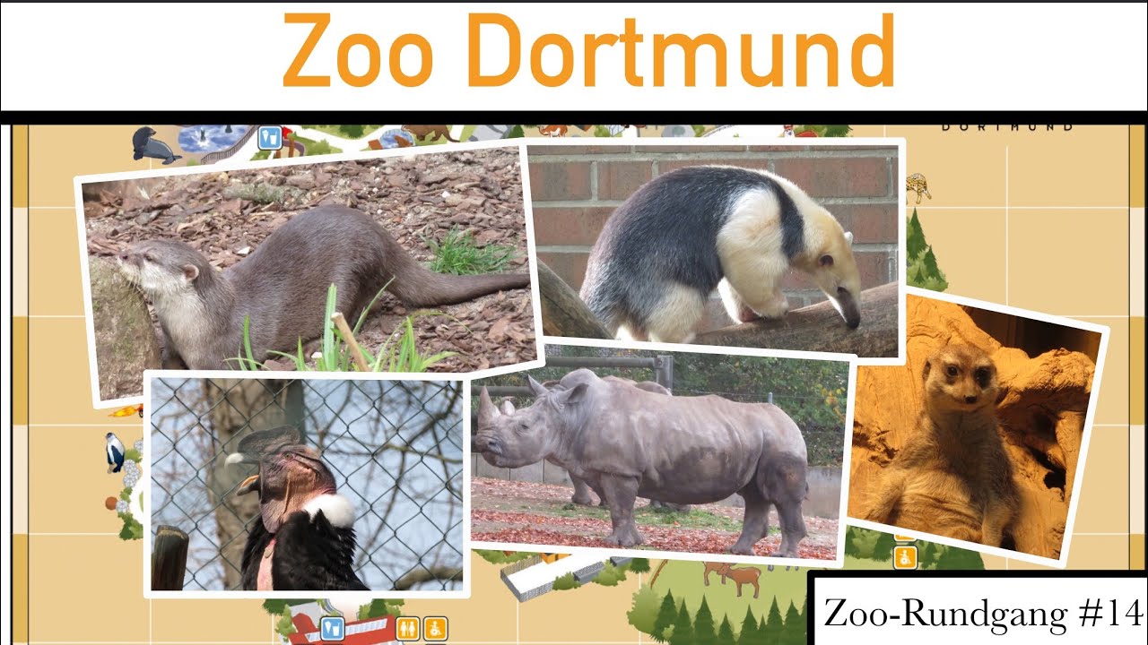 Zoo Dortmund 2021 | Zoo-Rundgang #14