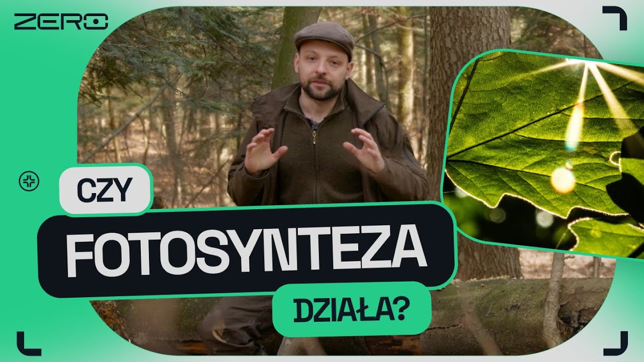 JAK ROSNĄ POLSKIE LASY? CZY ZACZĘŁY EMITOWAĆ CO2? | GATUNEK ZERO #8