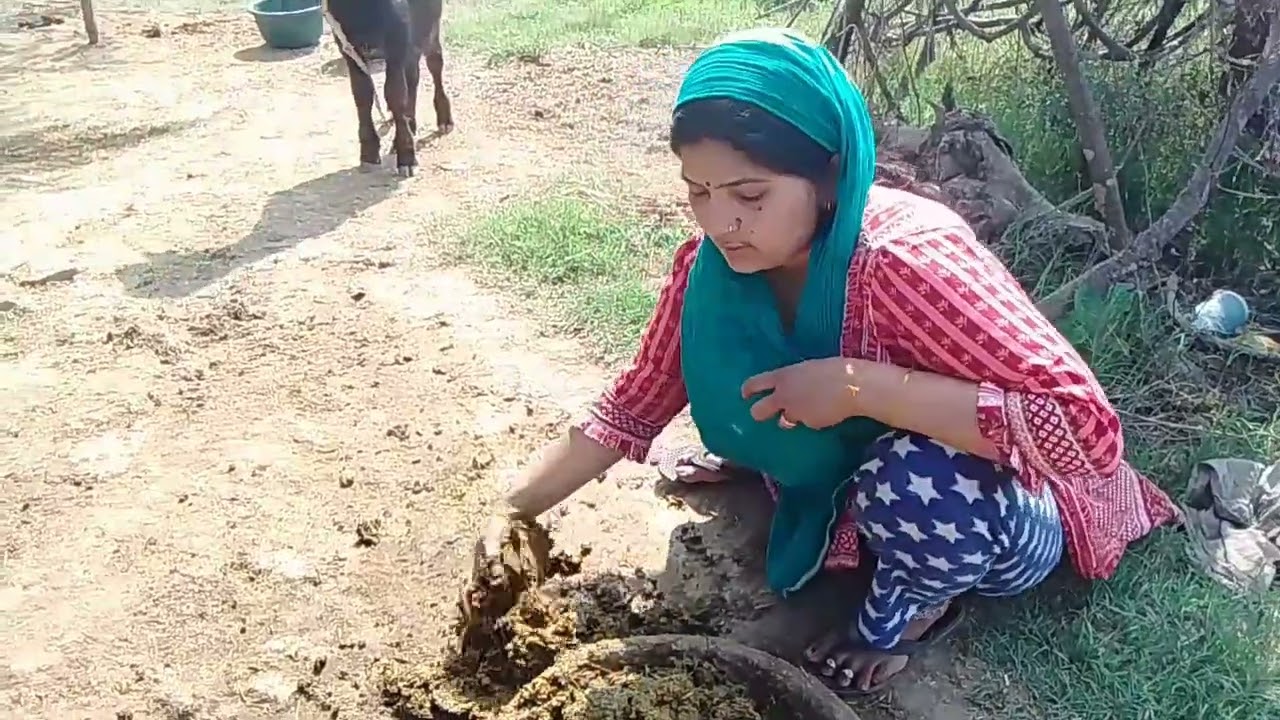 आज की वीडियो की शूटिंग मेरे बाबू ने की है कैसी लगी कमेंट करके बताना