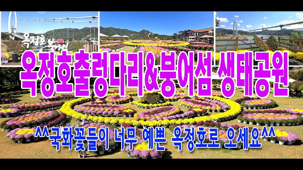 옥정호 붕어섬은 생태공원 국화축제, #4k, #옥정호출렁다리, #붕어섬생태공, #옥정호붕어섬