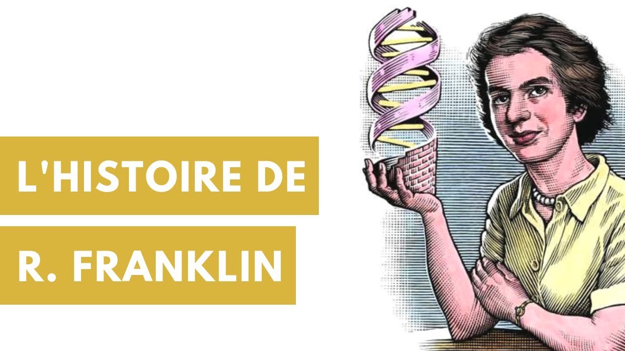 L'incroyable histoire de Rosalind Franklin #HistoireDesSciences 6