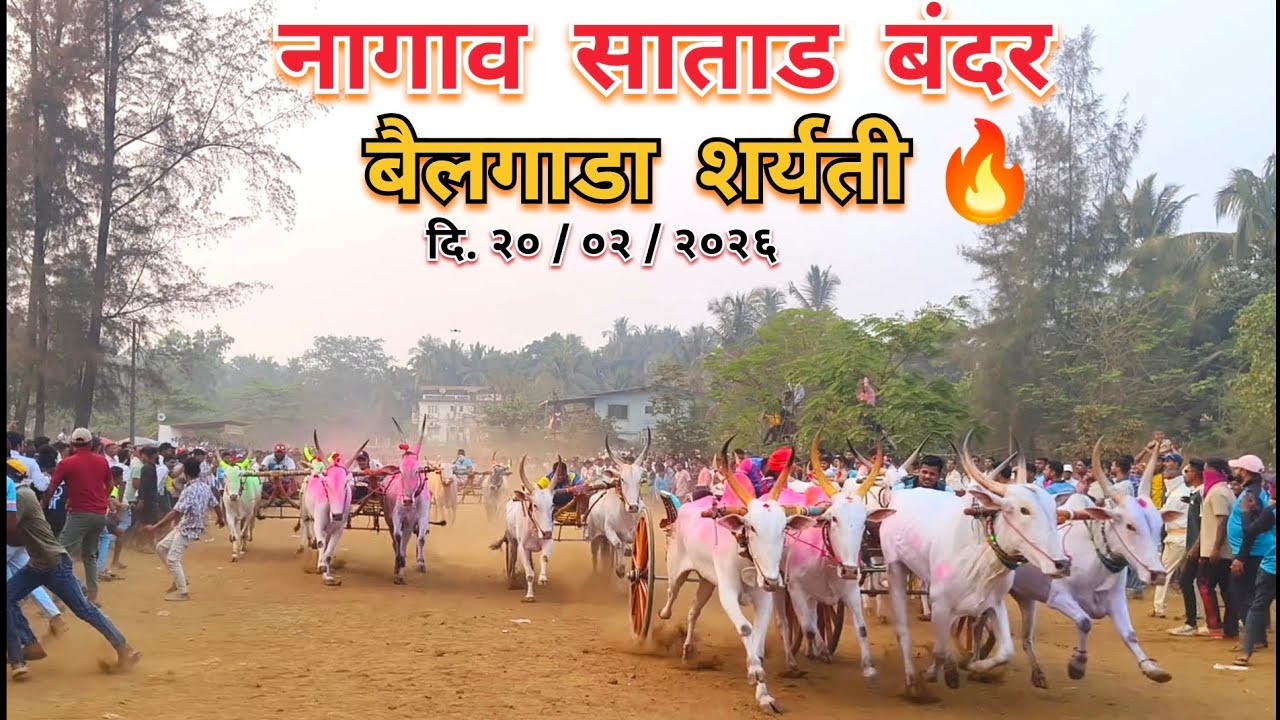 नागाव साताड बंदर बैलगाडी शर्यती 🏆🔥 | #bakasur #sonya5050 #mathur1001 #बैलगाडा 