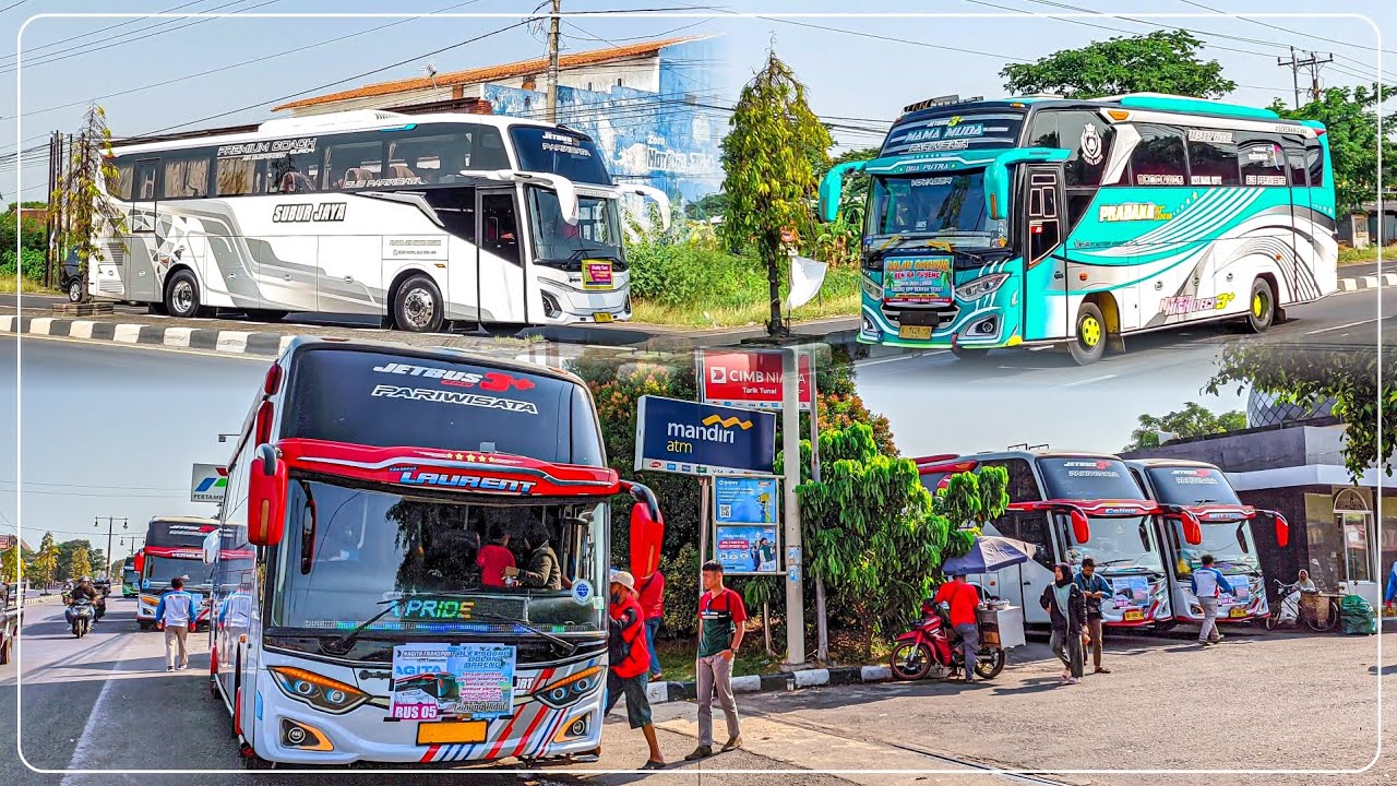 7 UNIT NAGITA TRANSPORT MEMERIAHKAN BASURI DIPAGI HARI‼️ Buitenzorg Subur Jaya Full Nyeni‼️ #basuri