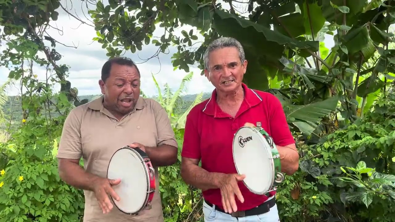 Papagaio e Andorinha - encontro de mestres