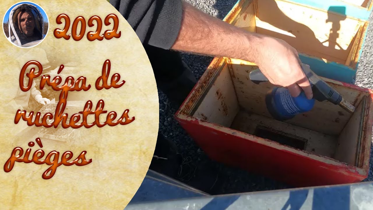 Des essaims gratuits ! prépa et pose de ruchettes pièges