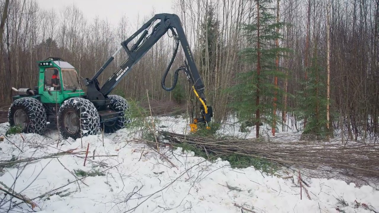 TMK 250-H ON PROSILVA HARVESTER - Forest to wetlands transformation
