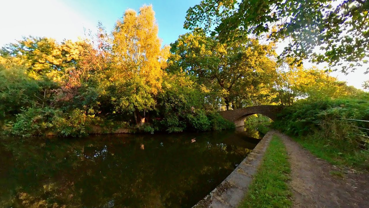 Hopwas Forest Canal Early Morning Walk, English Countryside 4K. Walking Tour