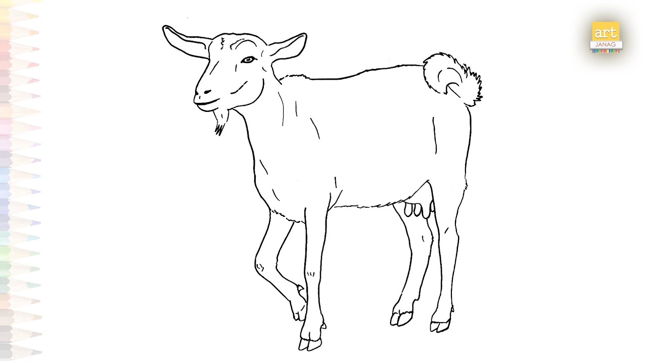 Goat drawings simply draw | Domestic animal drawing | How to draw A Goat step by step | #artjanag