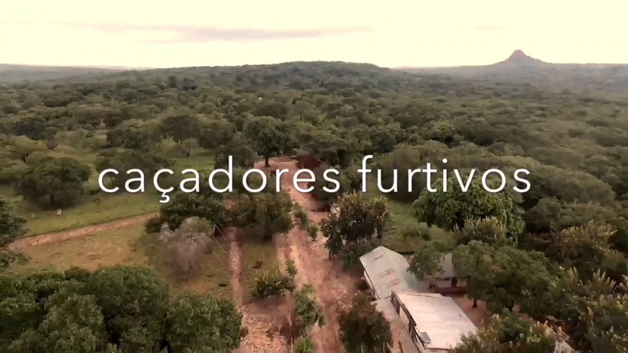 A MAREJA ESTÁ VAZIA.... SAIBA PORQUÊ? - © GOTOPEMBA - 2017