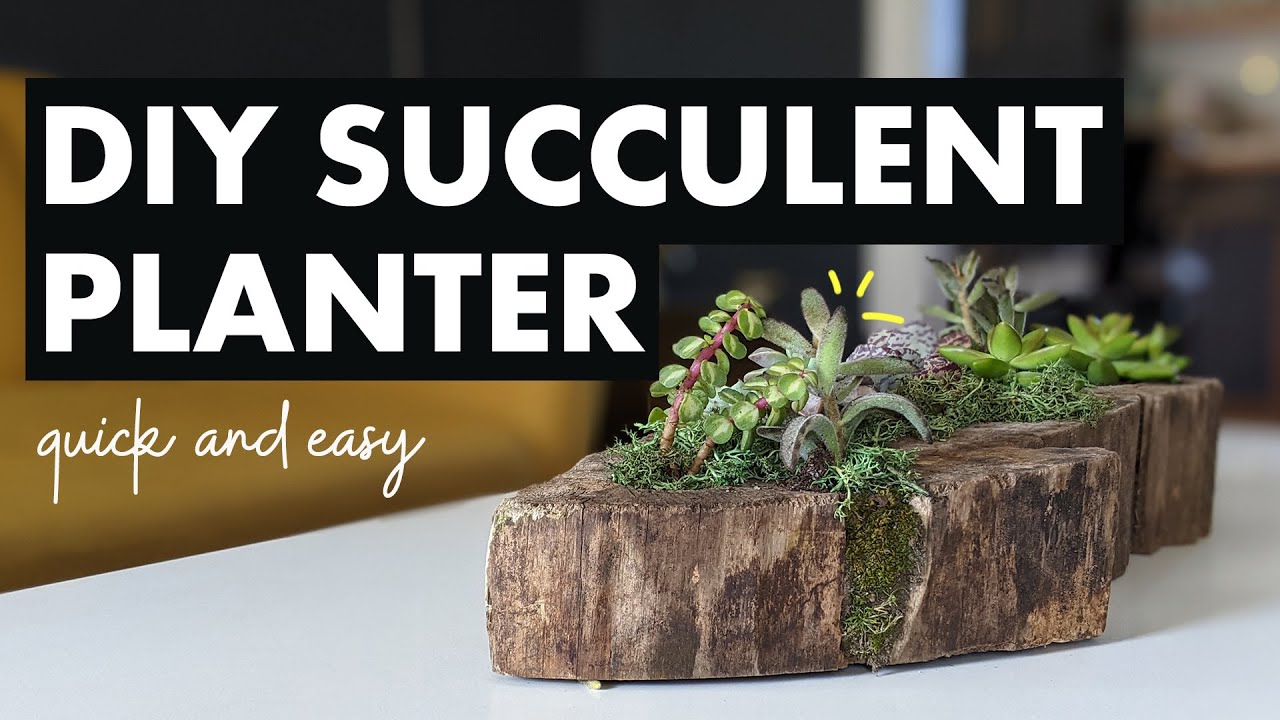 How to Make a Wood Succulent Planter (A $20 DIY!)
