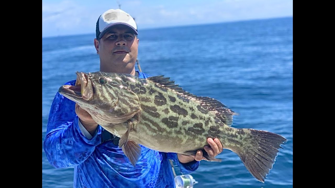 Insane In-shore action on Live Bait (Jaco, Los Sueños, Herradura Bay)