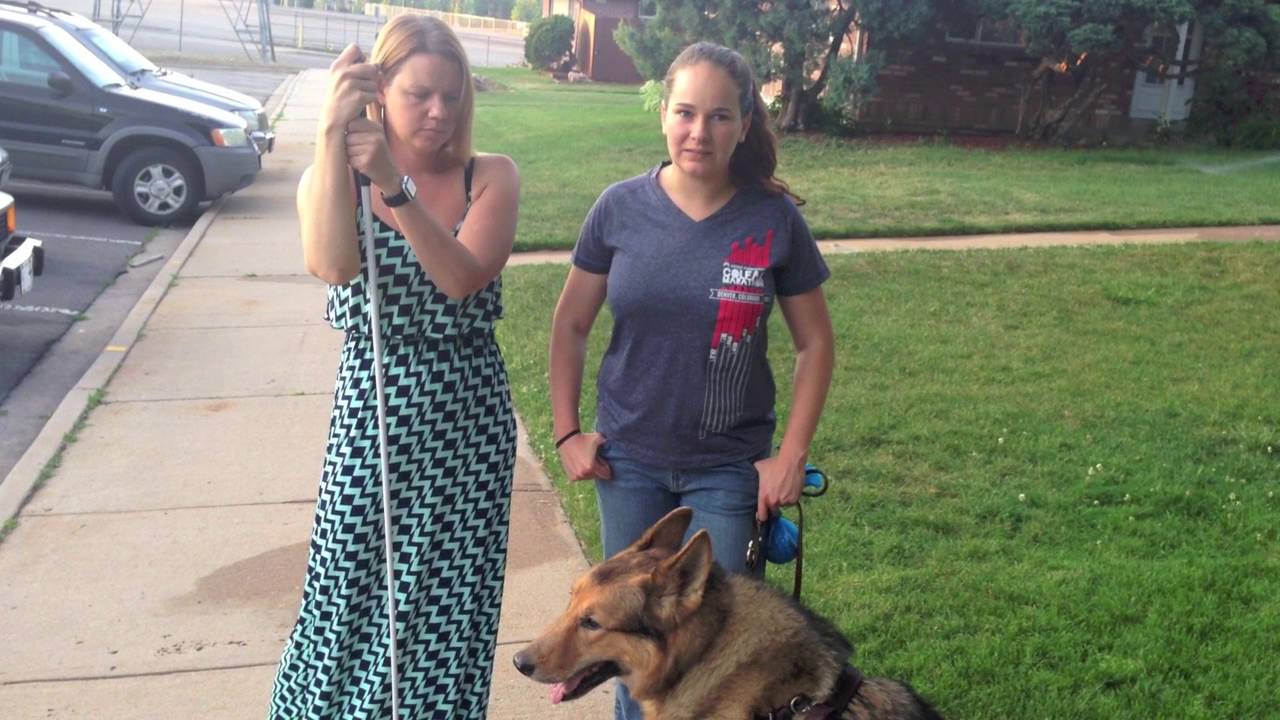 How a Blind Person Uses a Guide Dog