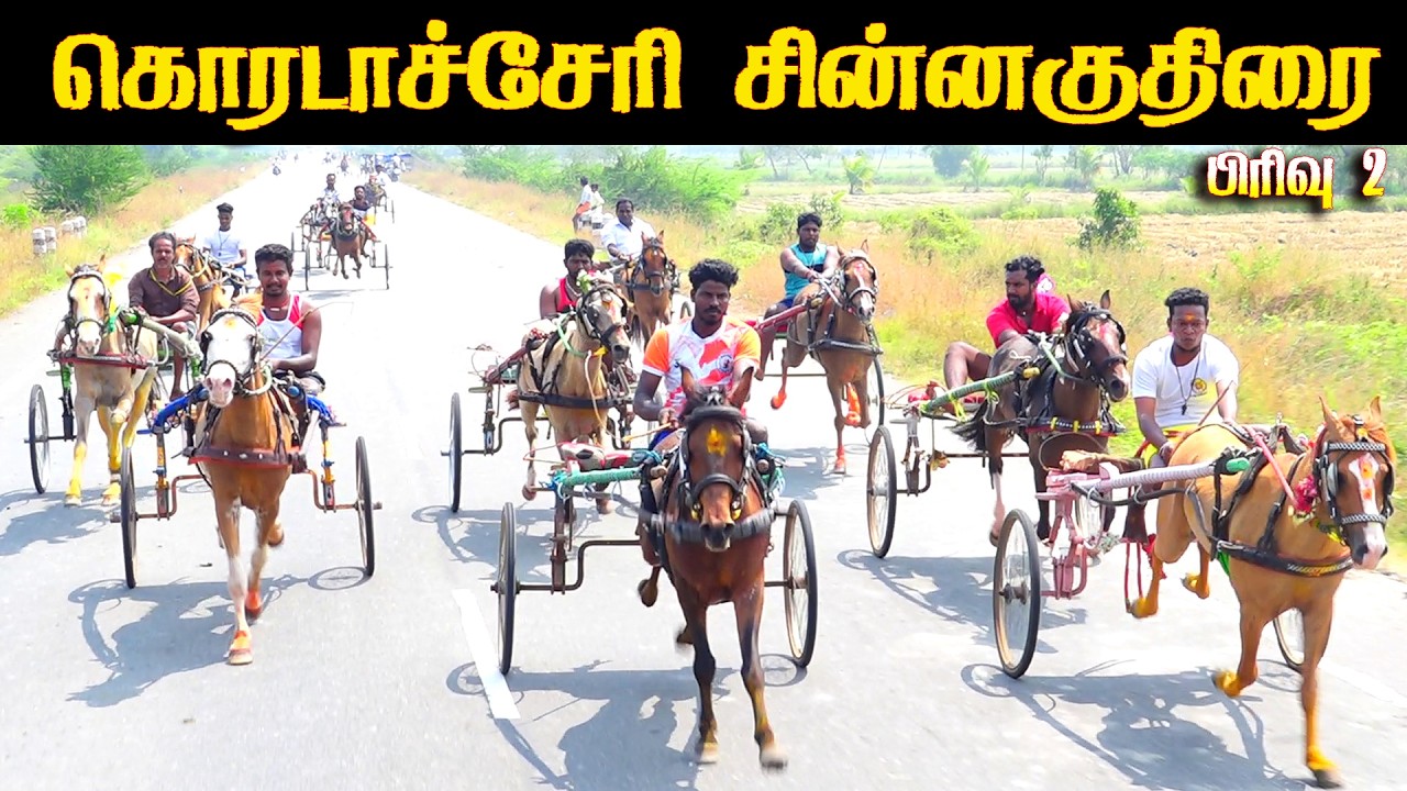 கொரடச்சேரி சின்னகுதிரை 2 - 15.02.2026