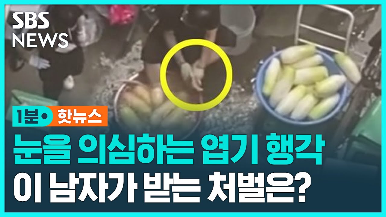 [1분핫뉴스] 무 닦던 수세미로 '문질문질'&hellip;벌금 1천만 원 / SBS