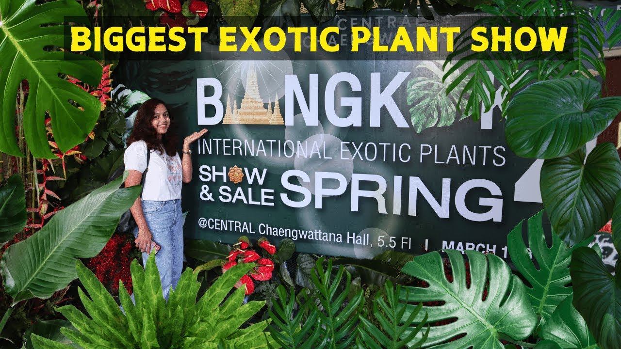 Visit to the Most Fascinating Exotic Plant Show |New Varieties of Monstera, Alocasia, Philodendrons