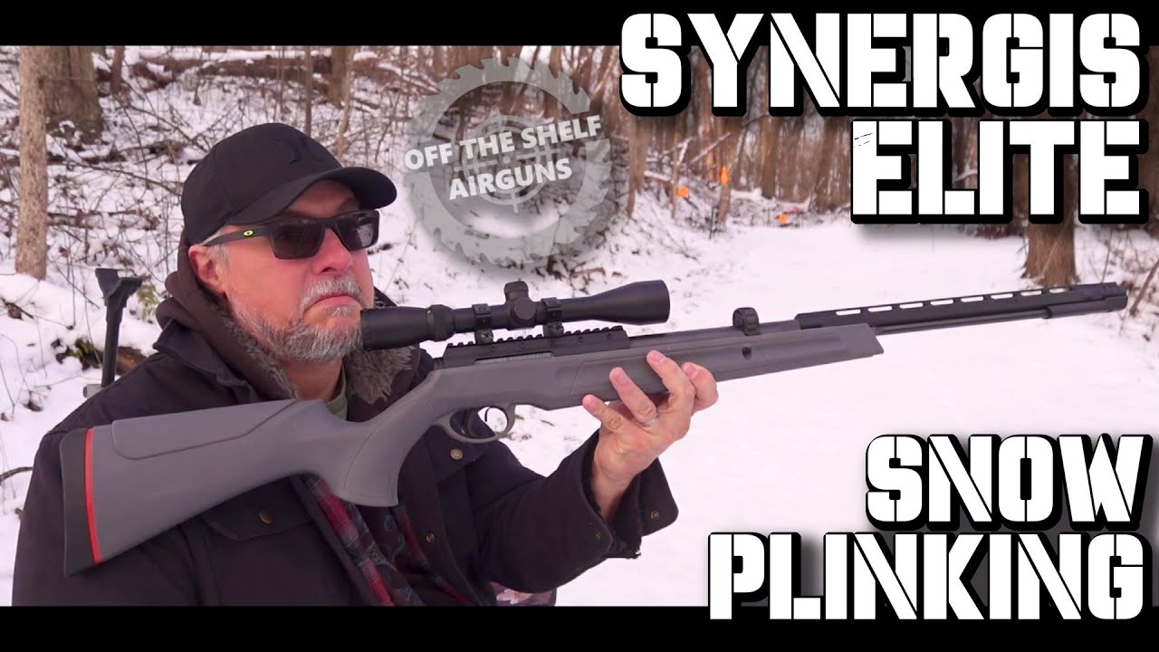 Umarex Synergis Elite - Snow Plinking