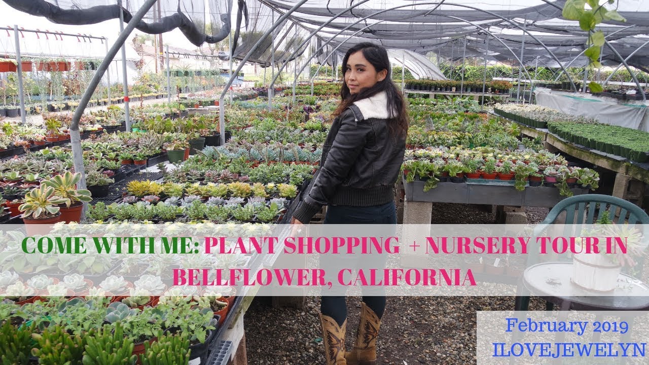 Come with me: Plant shopping + tour  | Bellflower, CA | February 2019 | ILOVEJEWELYN