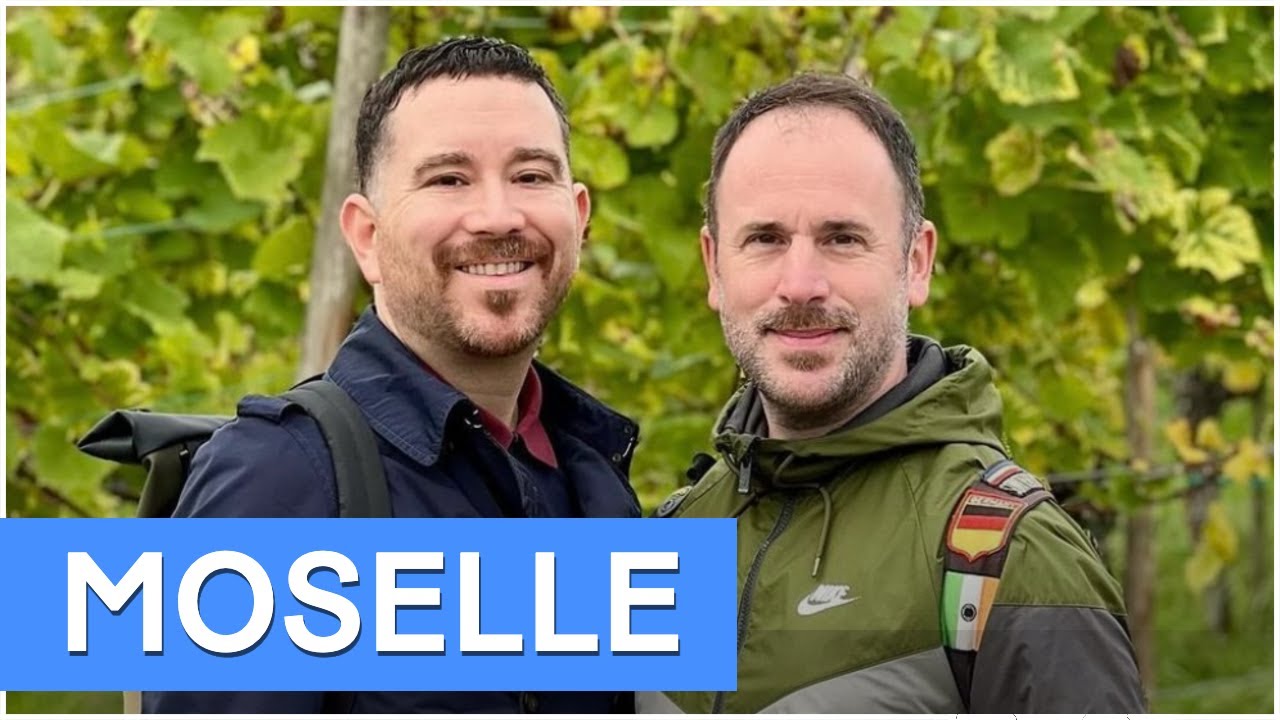 R&eacute;gion du Moselle au Luxembourg : &agrave; voir et &agrave; faire pour visiter le Moselle 🇱🇺 #moselle