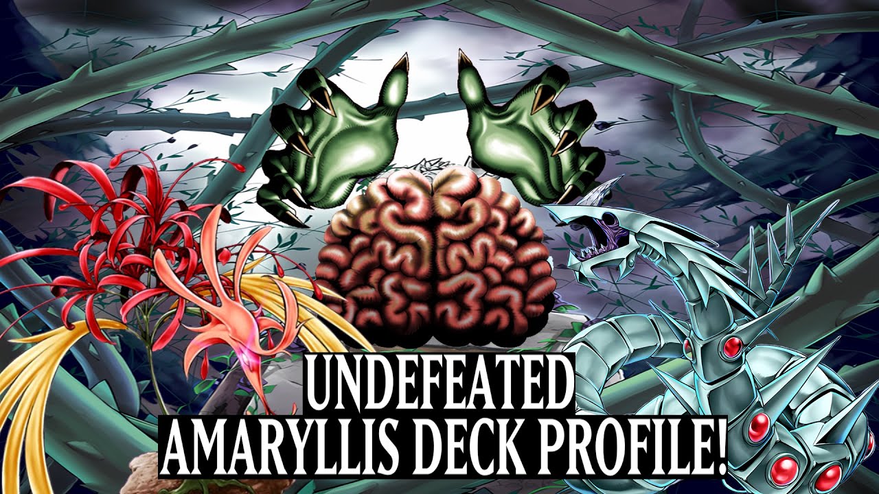 TIER 1 UNDEFEATED | Amaryllis Deck Profile! Yugioh Edison Dark Plant Amaryllis Deck Profile