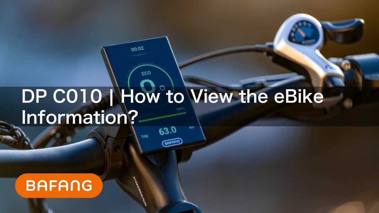 DP C010 | How to View the eBike Information?
