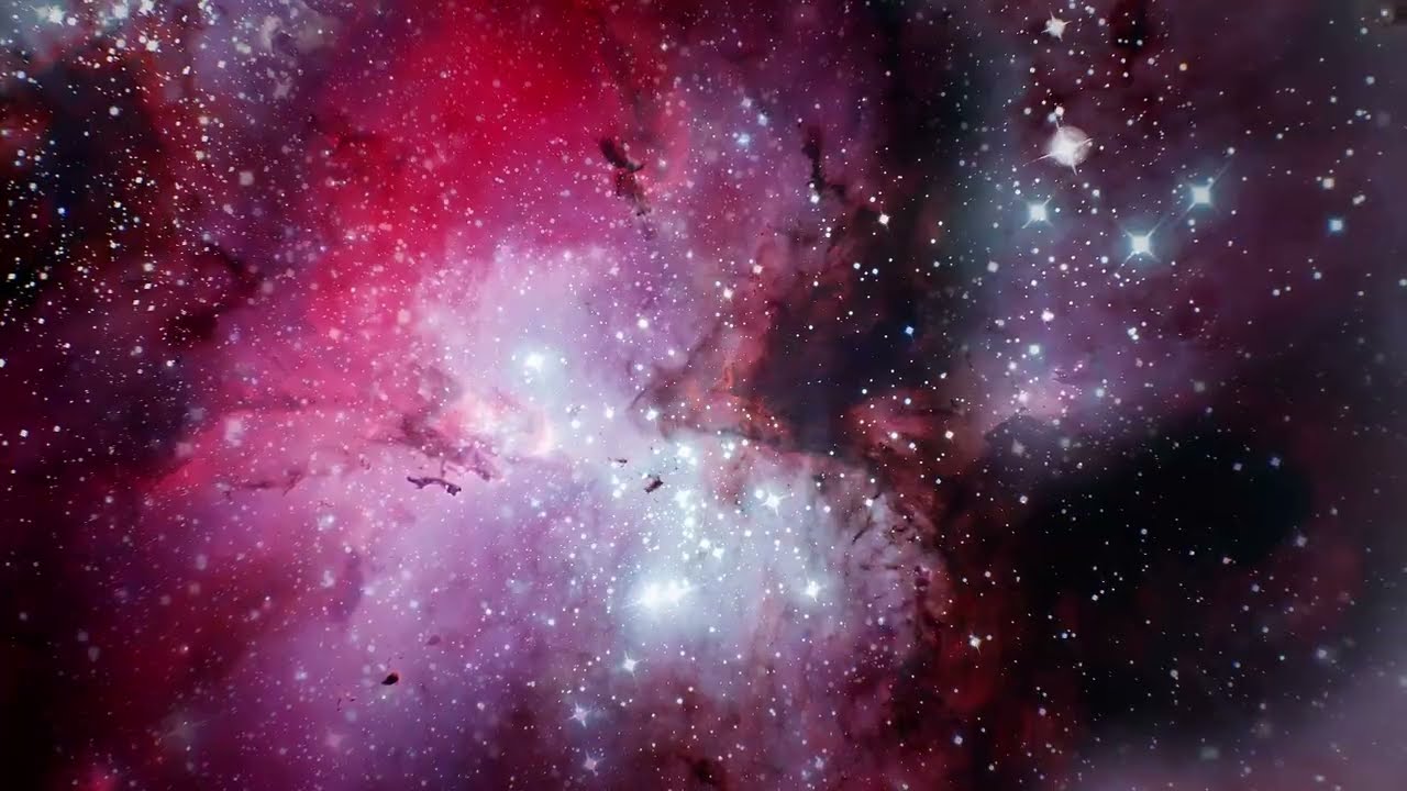GJA -Wings are Weary (Official Music Video)