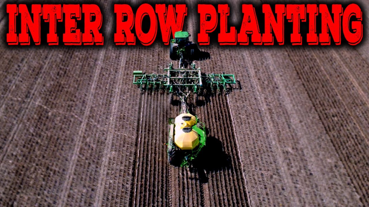 Inter Row Planting Barley Winter Crop Australian Farming 2025