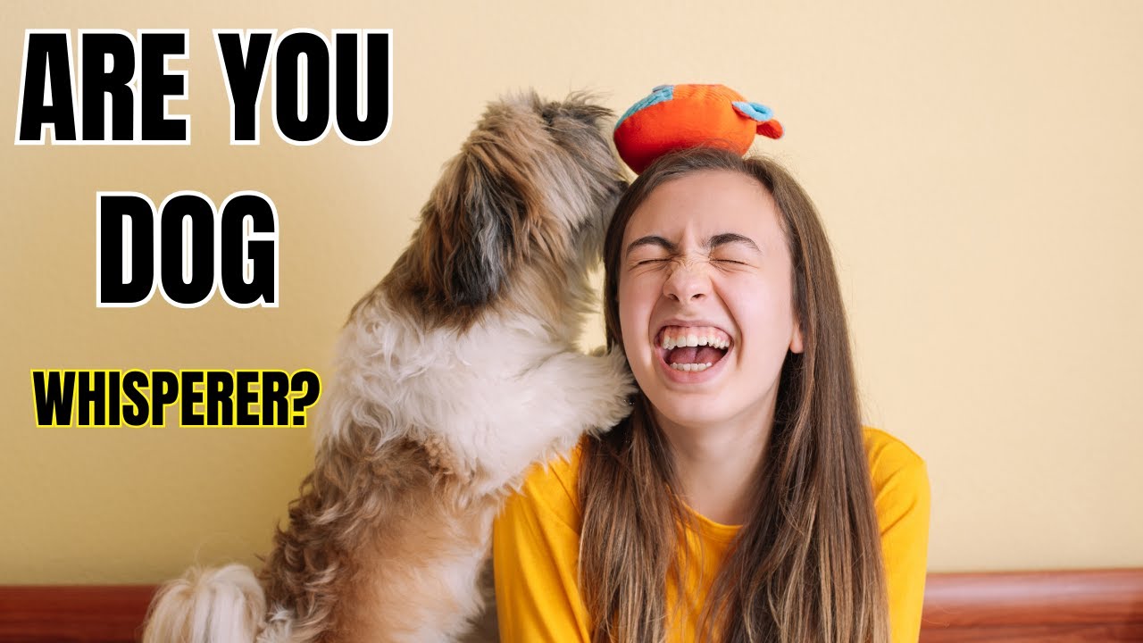 Scientists Have Found 8 Qualities Dogs Love Most – Are You One of Them?